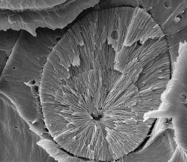 Science art image 1