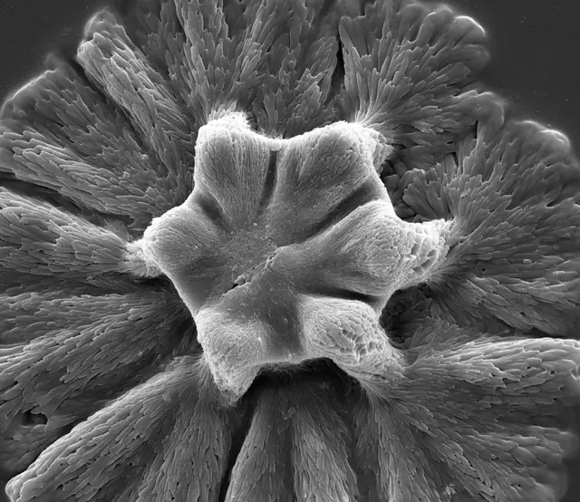 Science art image 4
