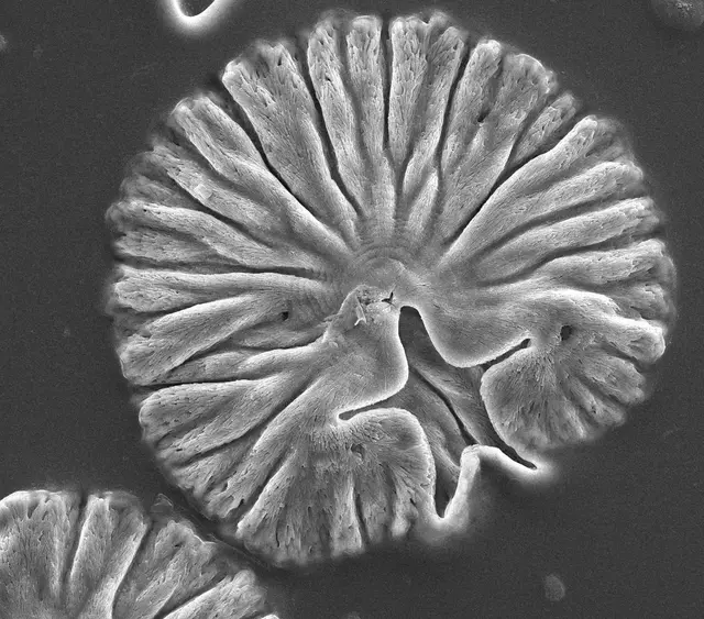 Science art image 5