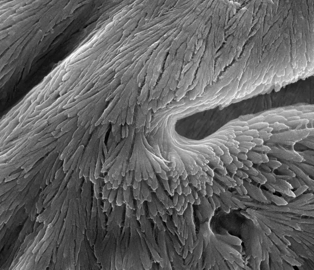 Science art image 6