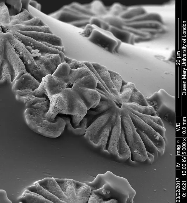Science art image 7