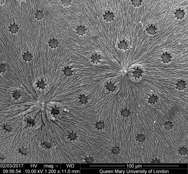 Science art image 9