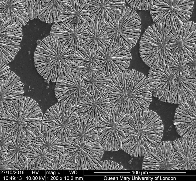 Science art image 10