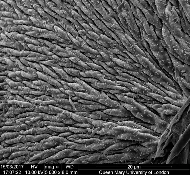 Science art image 11