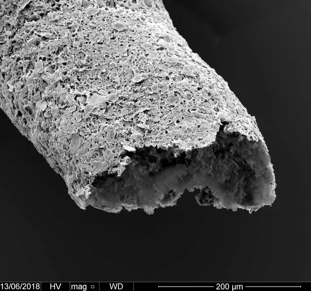 Science art image 14