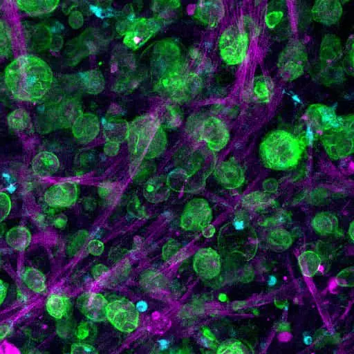 Science art image 15