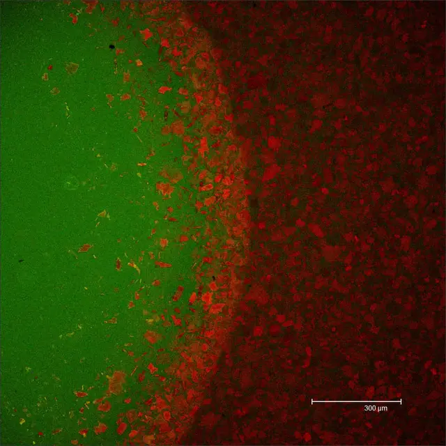 Science art image 19