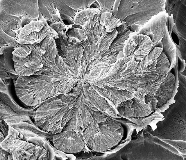 Science art image 20