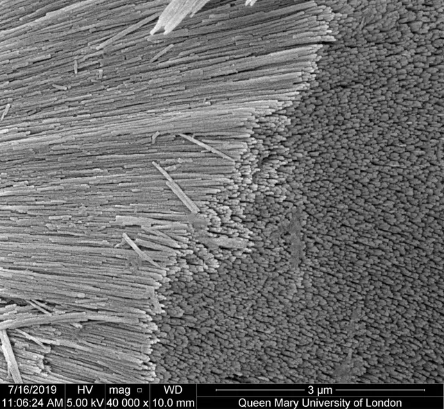 Science art image 22